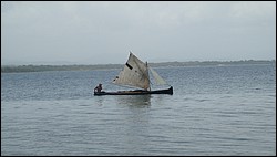 DSC03994.JPG
