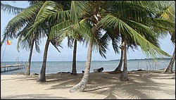 DSC04167.JPG