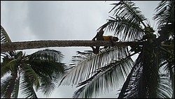 DSC04179.JPG