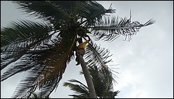 DSC04181.JPG