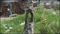 DSC04185.JPG